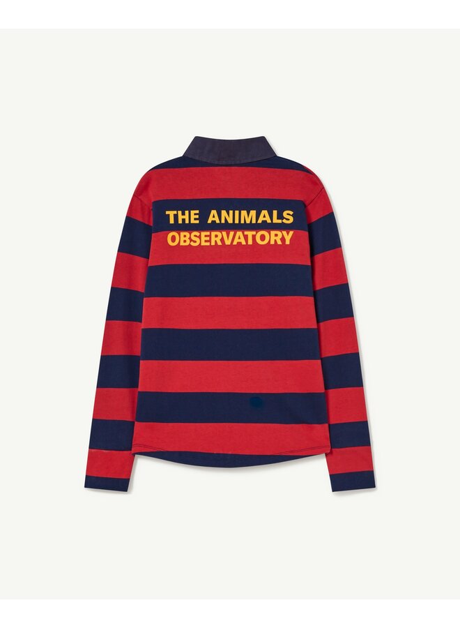 The Animals Observatory | eel t-shirt | brown