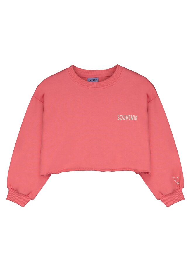 Letter to the world | breda sweatshirt | watermelon