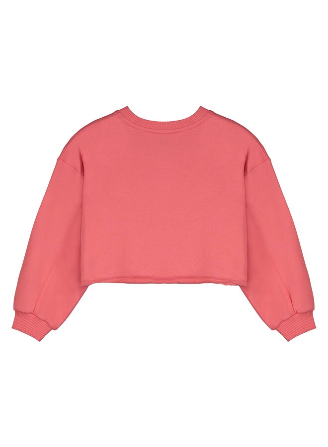 Letter to the world | breda sweatshirt | watermelon