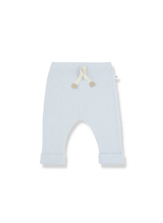 1+ in the family | vasco | misty-blue