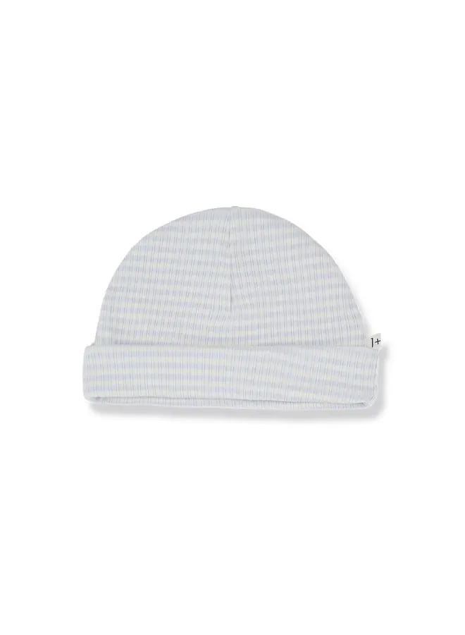 1+ in the family | gio | misty-blue