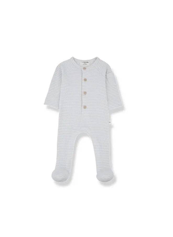 1+ in the family | guim | misty-blue