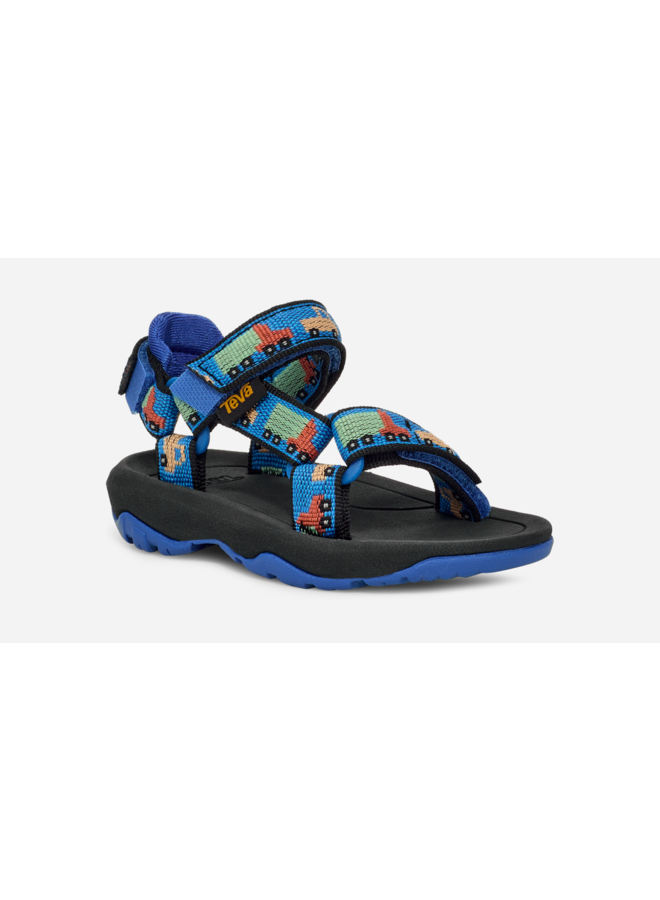 Teva | hurricane | modern nature iguana