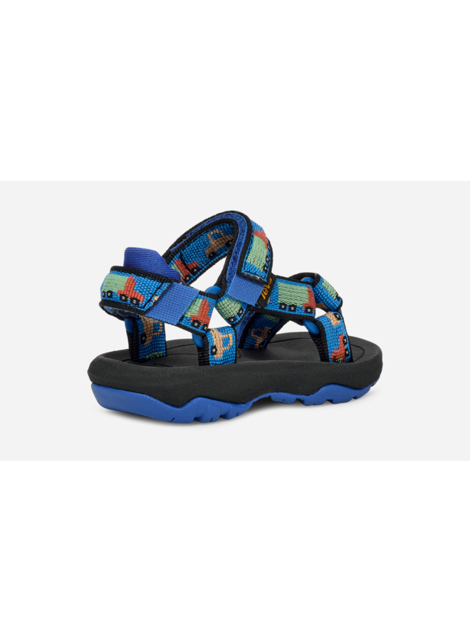 Teva | hurricane | modern nature iguana