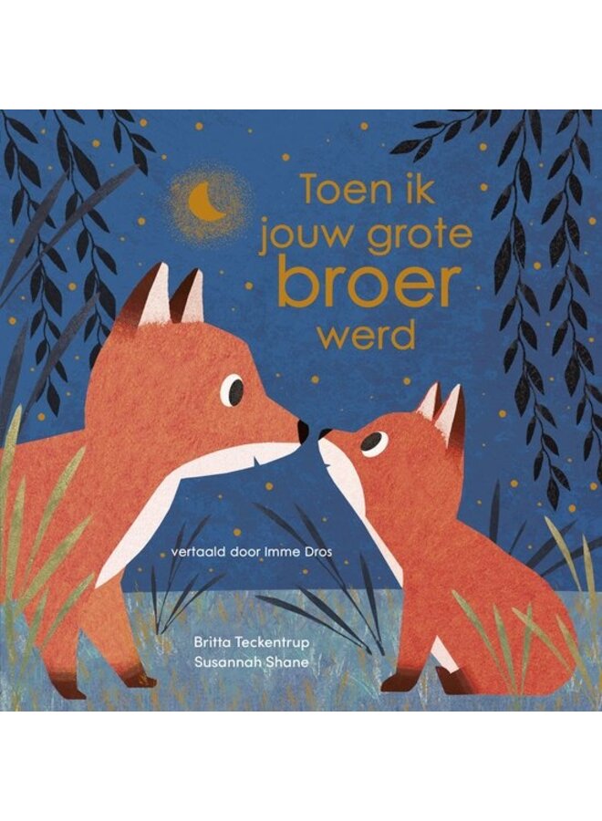 Boeken | toen ik jouw grote broer werd 3+