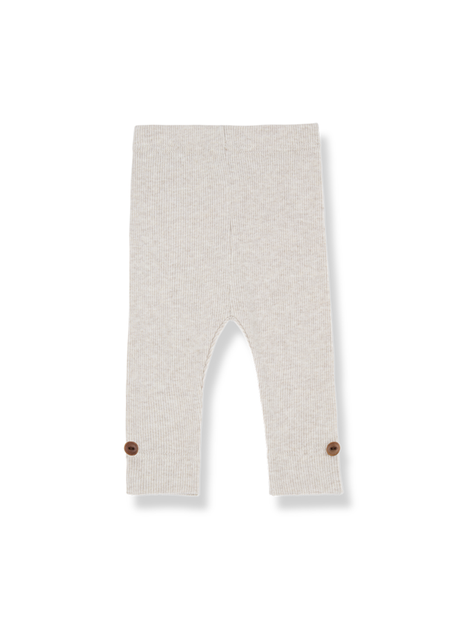 1+ in the family | sina | rice