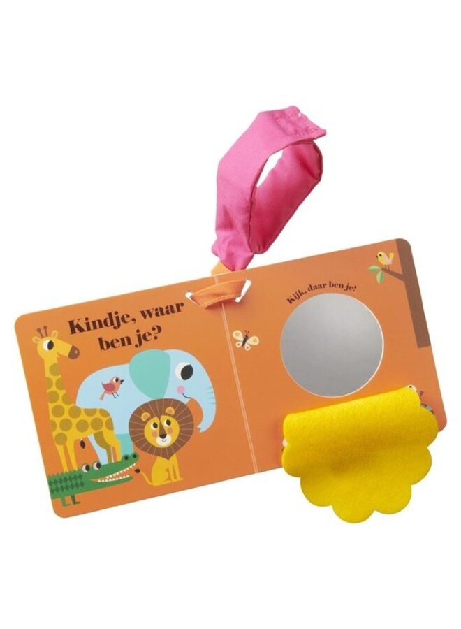 Boeken | buggyboekje | leeuw, waar ben je