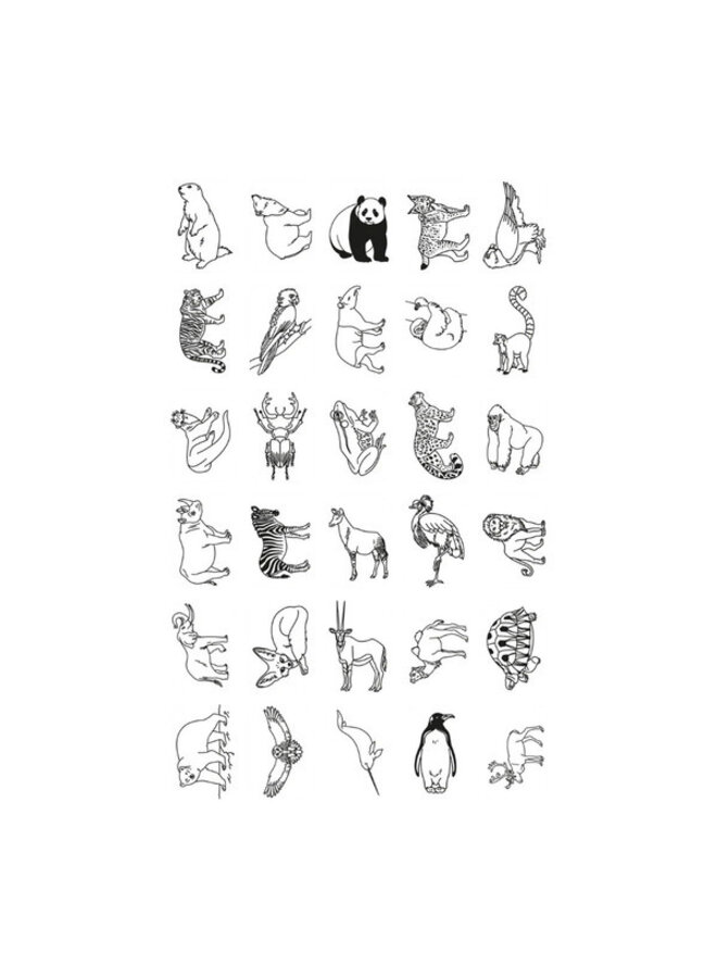 Kidywolf | refill kidydraw | dieren over de hele wereld & oceanen en piraten