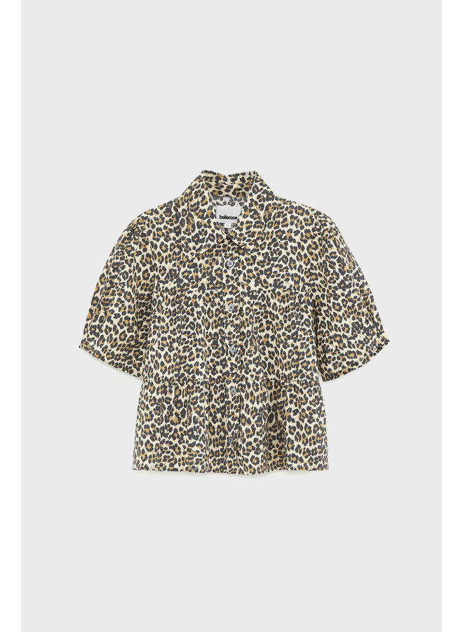 Bellerose | helo | combo a