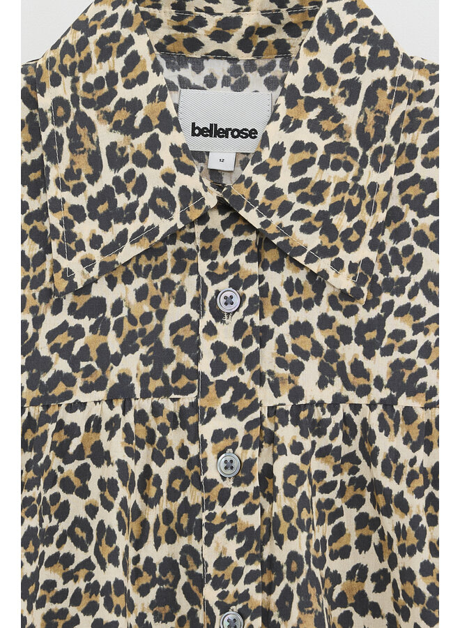 Bellerose | helo | combo a