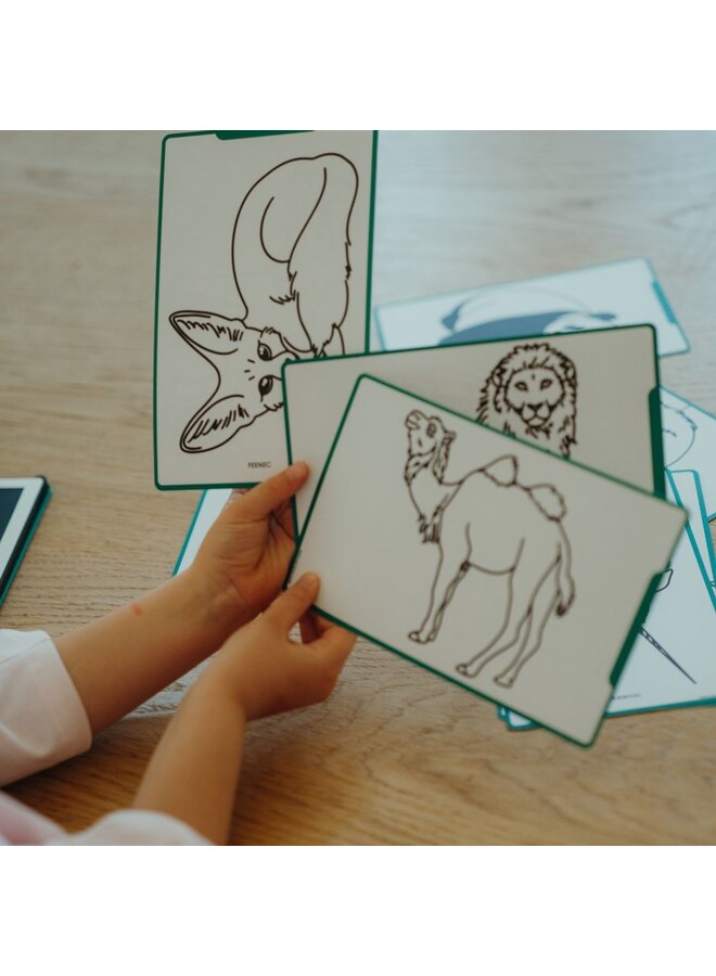 Kidywolf | kidydraw | mini tekenblok | dieren van over de hele wereld