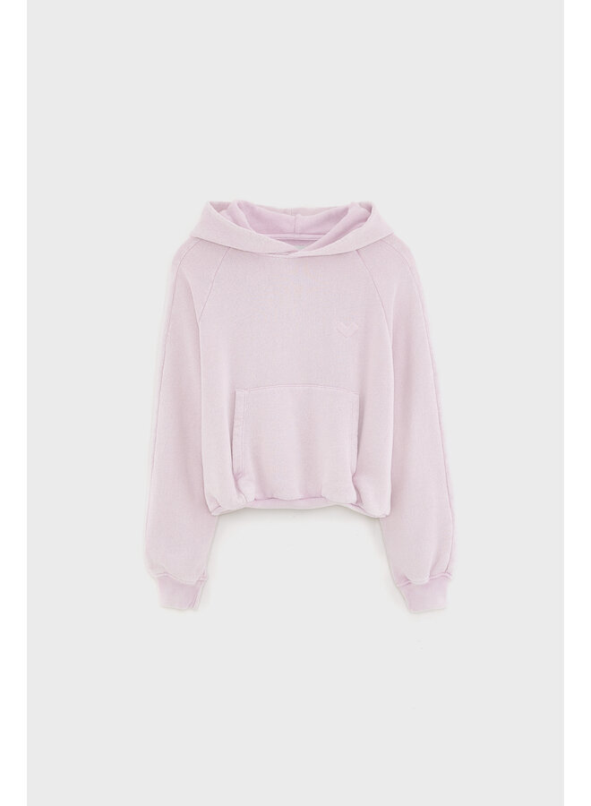 Bellerose | fatih | clematite