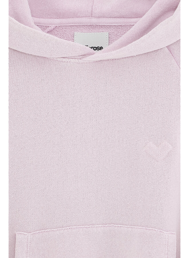 Bellerose | fatih | clematite