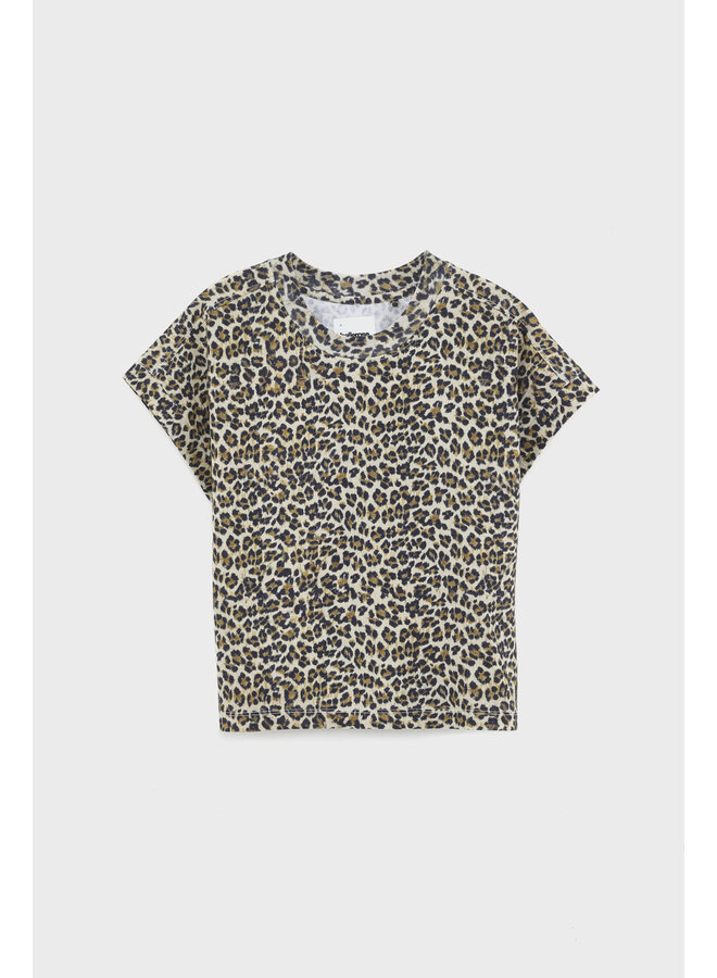 Bellerose | cindo | combo a