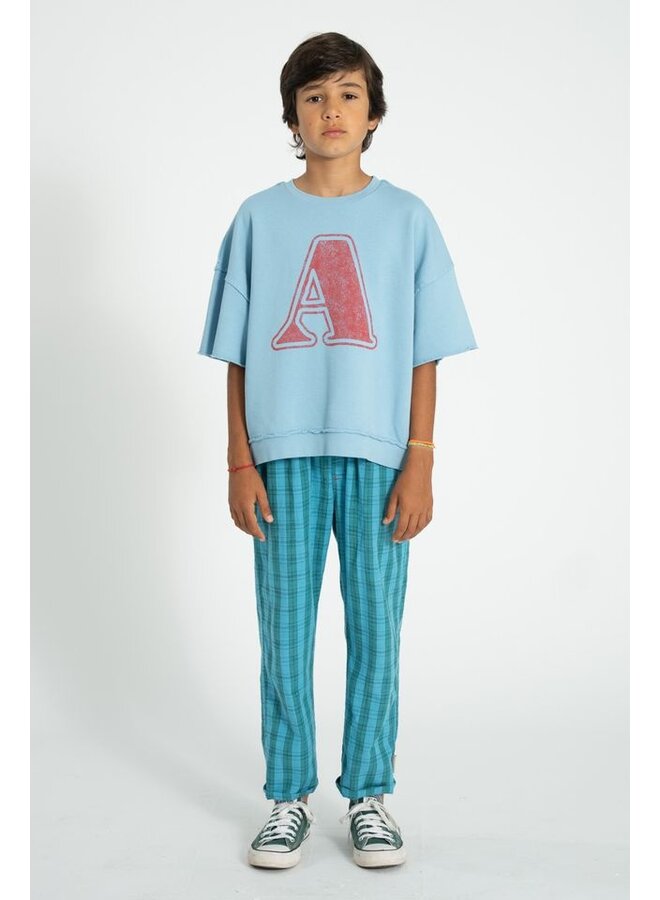 Piupiuchick | unisex trousers | blue & green checkered