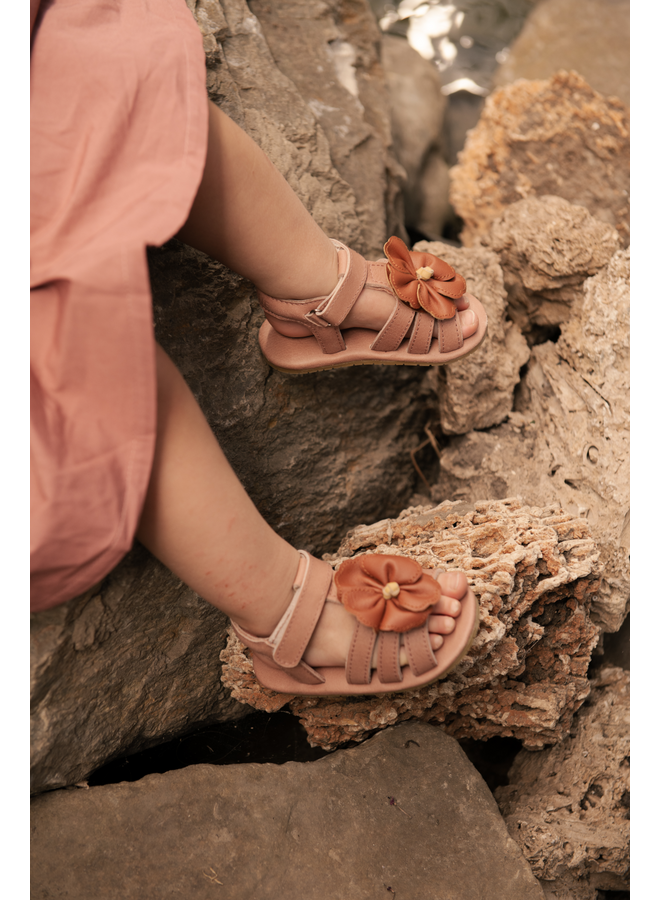 Donsje | tuti fields sandals | hibiscus | rose dawn classic leather