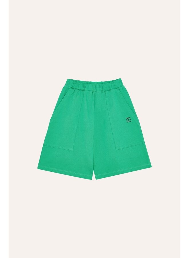 The Campamento | green washed shorts | green