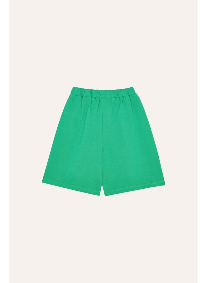 The Campamento | green washed shorts | green