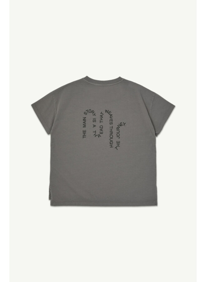 Main Story | oversized tee | plum kitten jersey