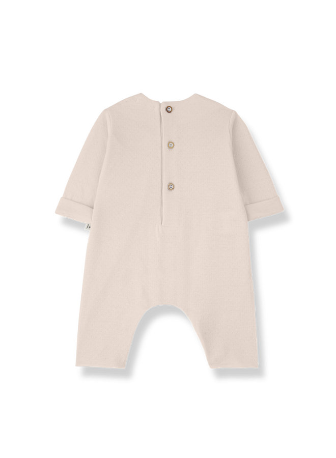 1+ in the family  | margot | blossom