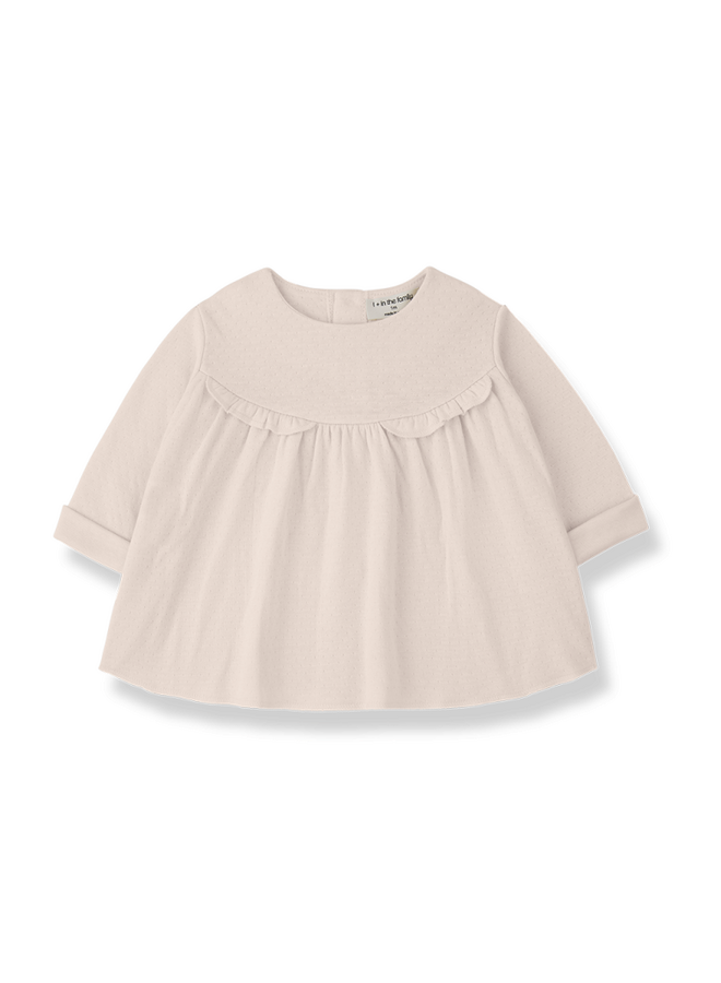 1+ in the family  | fina | blossom