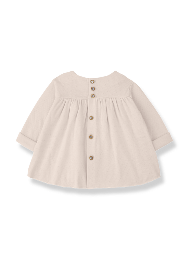 1+ in the family  | fina | blossom