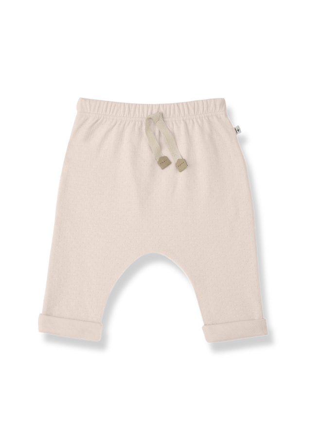 1+ in the family  | alain | blossom