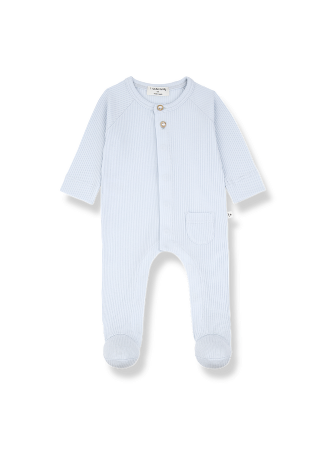 1+ in the family  | pau | misty-blue