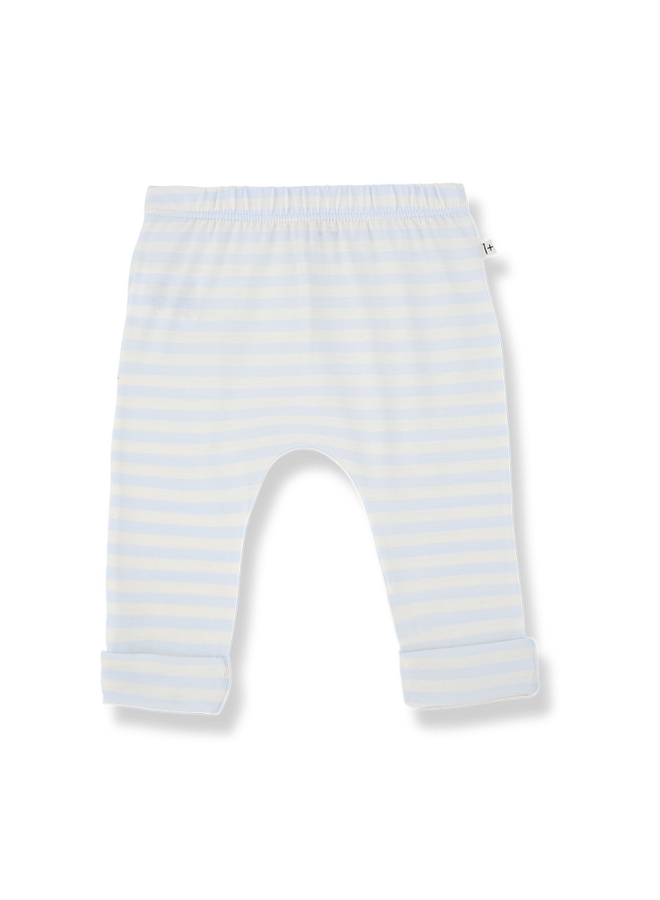 1+ in the family  | saul | misty-blue