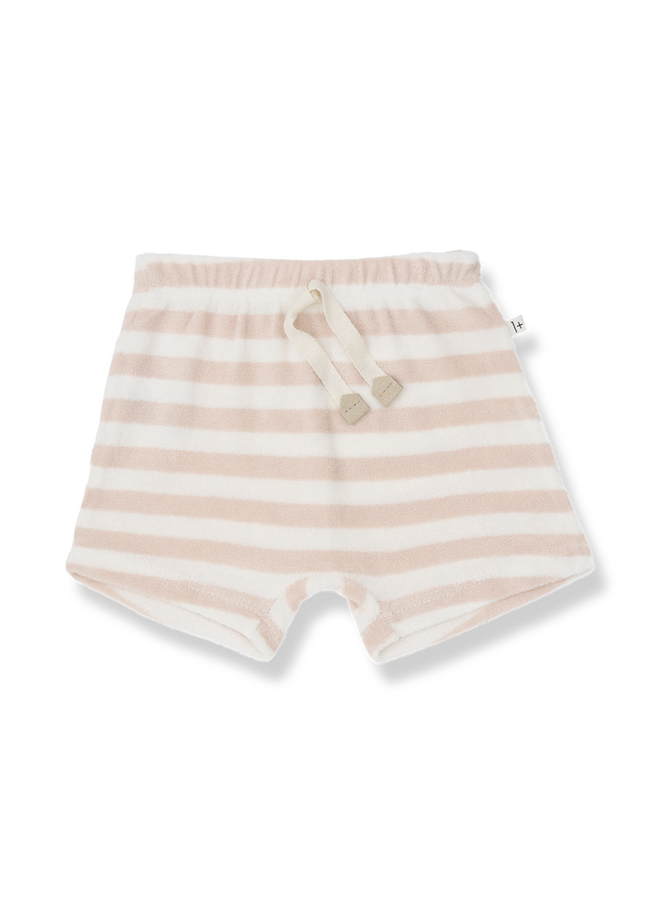 1+ in the family | feres | blossom