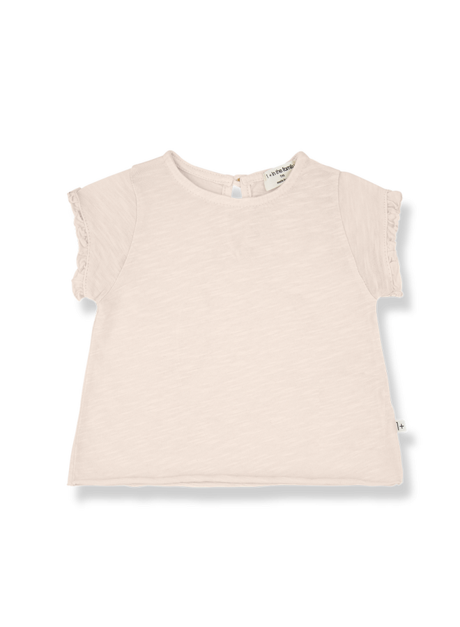 1+ in the family | esparta | blossom