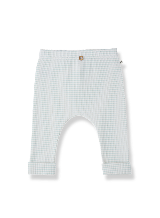 1+ in the family | gava | green