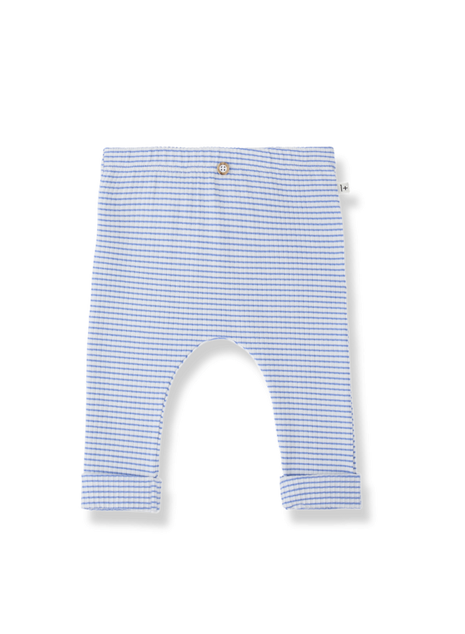 1+ in the family | gava | ultramarine