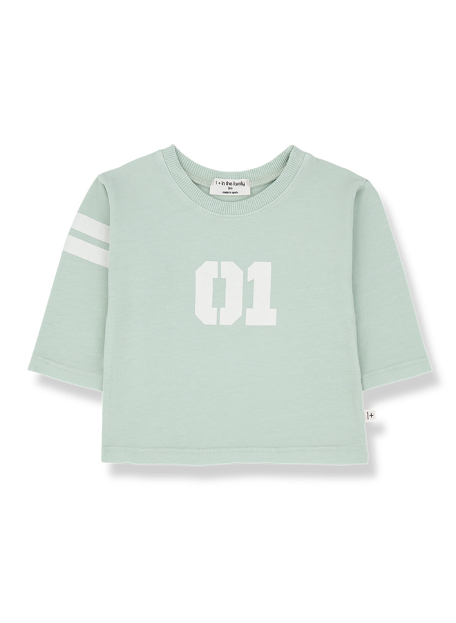 1+ in the family | salines | green