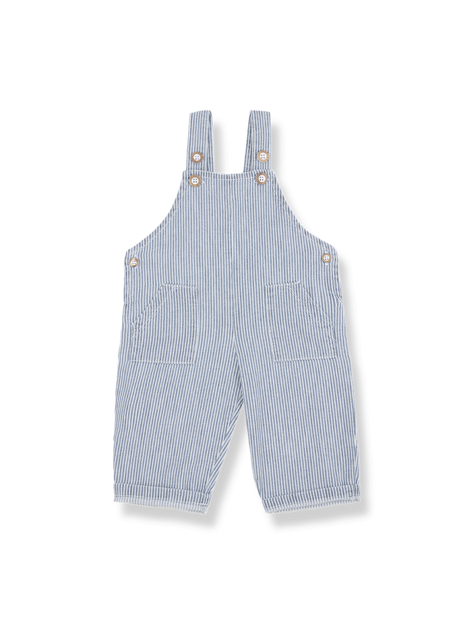 1+ in the family  | mao | denim