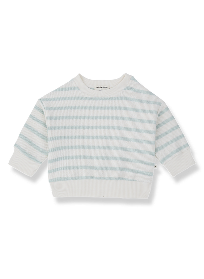 1+ in the family | marroig | green