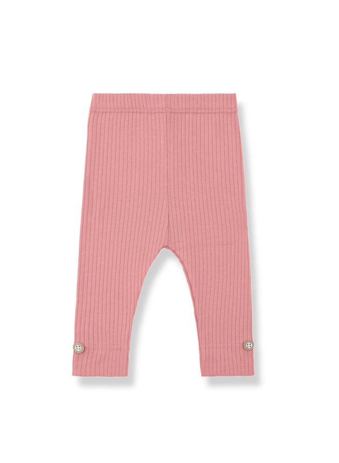 1+ in the family  | sina | strawberry