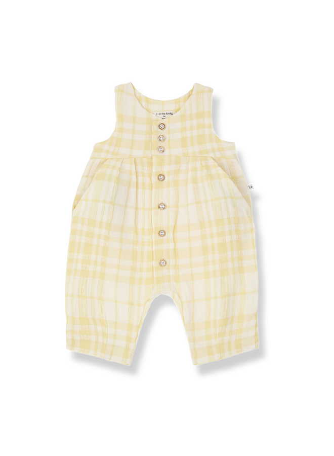 1+ in the family | morera | lemon