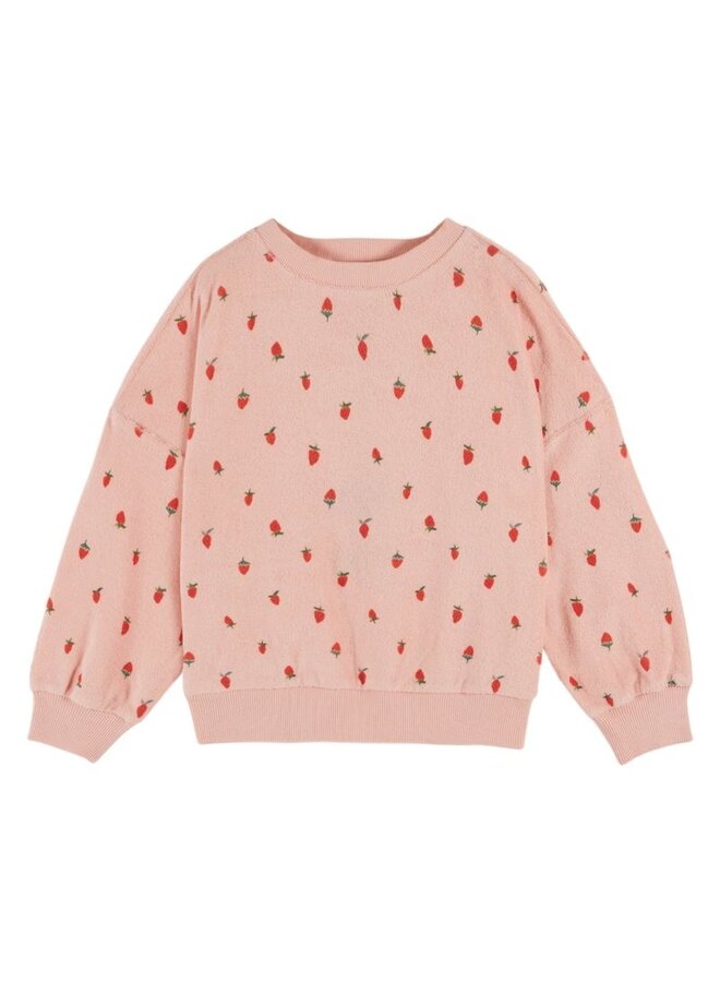 Emile & Ida | sweat shirt eponge imprime ao | guariguette