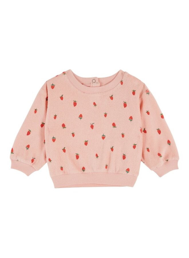 Emile & Ida | baby sweat shirt eponge imprime ao | guariguette