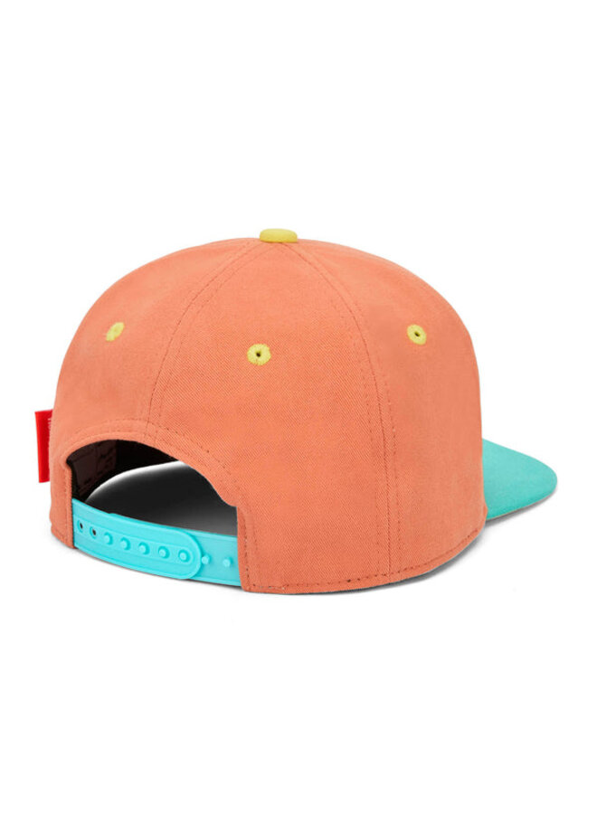 Hello Hossy | cactus