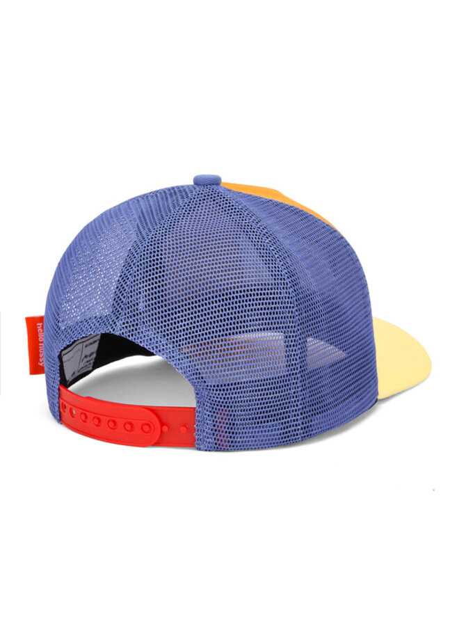 Hello Hossy | mini canyon