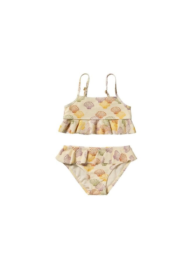 Salted Stories | shells | bikini