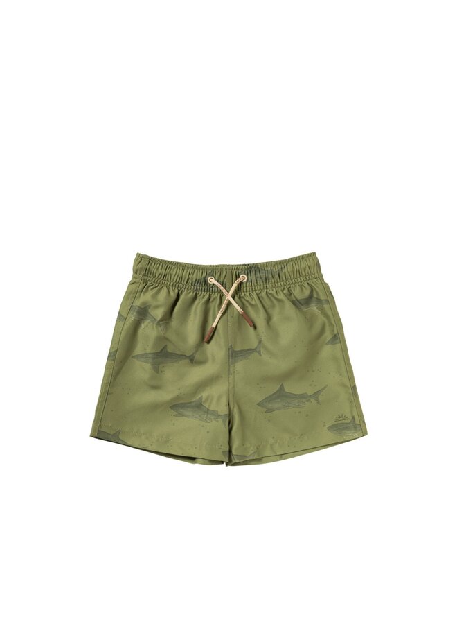 Salted Stories | shark swim shorts | iguana