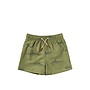 Salted Stories | shark swim shorts | iguana
