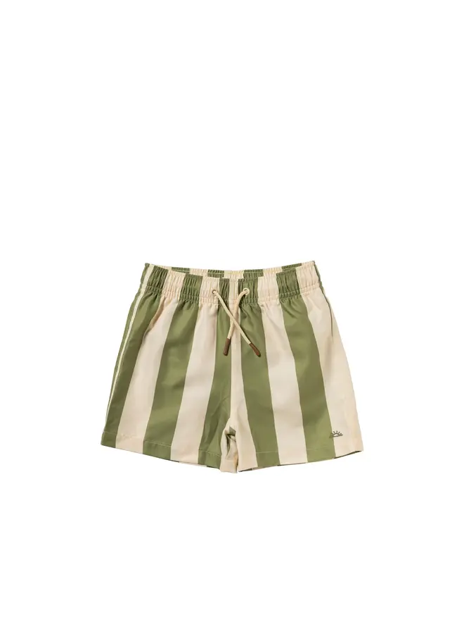 Salted Stories | wide stripe swim shorts | iguana