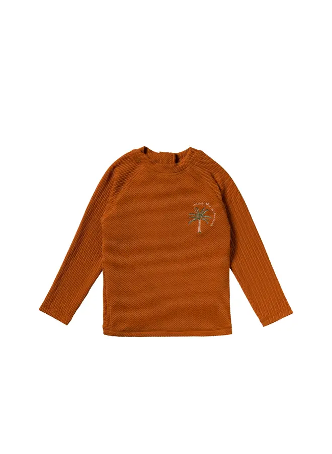 Salted Stories | solid longsleeve | bombay brown