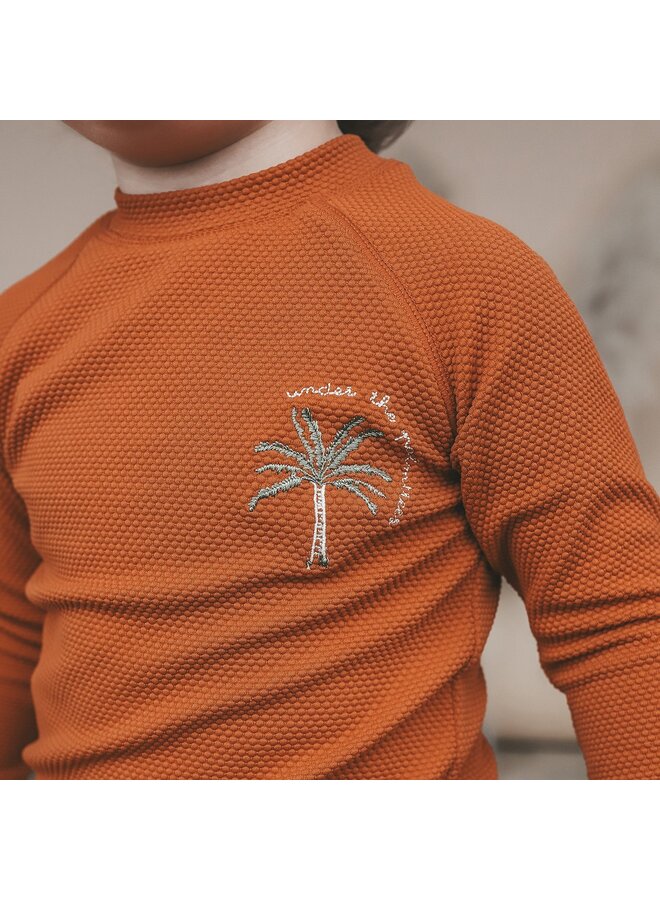 Salted Stories | solid longsleeve | bombay brown