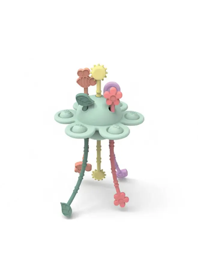 Little L | sensory garden