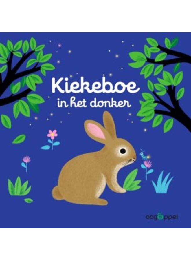 Boeken | kiekeboe in het donker